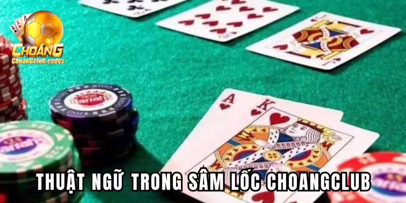Thuật ngữ hay gặp khi anh em chơi game Thuật ngữ hay gặp khi anh em chơi game