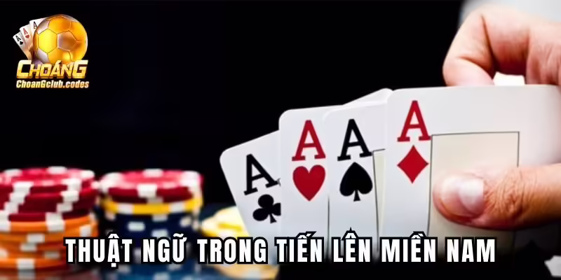 Thuật ngữ phổ biến khi tham gia cược game Thuật ngữ phổ biến khi tham gia cược game